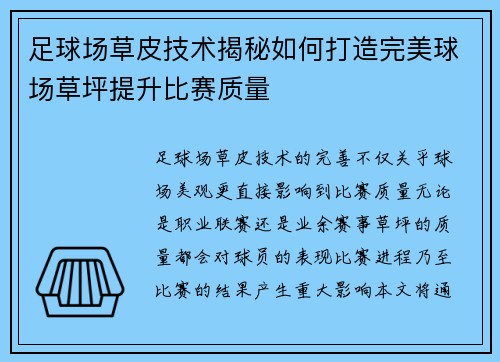 足球场草皮技术揭秘如何打造完美球场草坪提升比赛质量