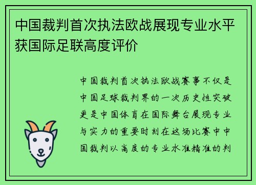 中国裁判首次执法欧战展现专业水平获国际足联高度评价